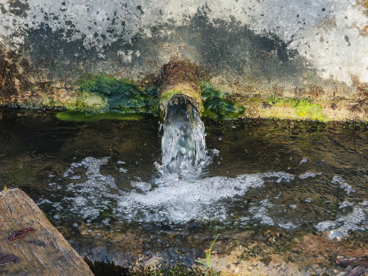 Water flowing from an old pipe into a mossy concrete basin.