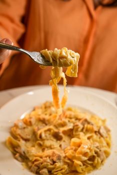 Restaurant Pasta With Cream Sauce And Poultry