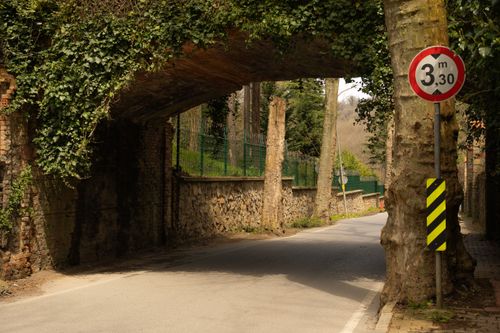 Free Charming rural road passing under an ivy-covered stone bridge with visible height restriction sign. Stock Photo