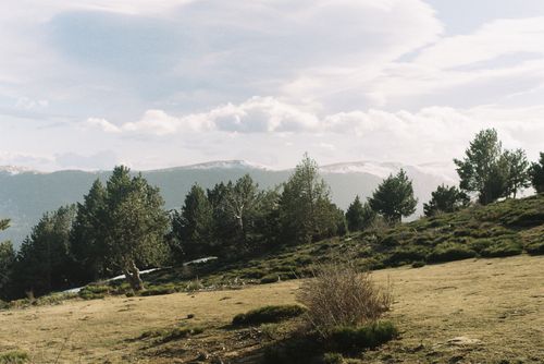 Free Tranquil mountain landscape with pine trees and cloudy sky in Núria, Catalonia, Spain. Stock Photo