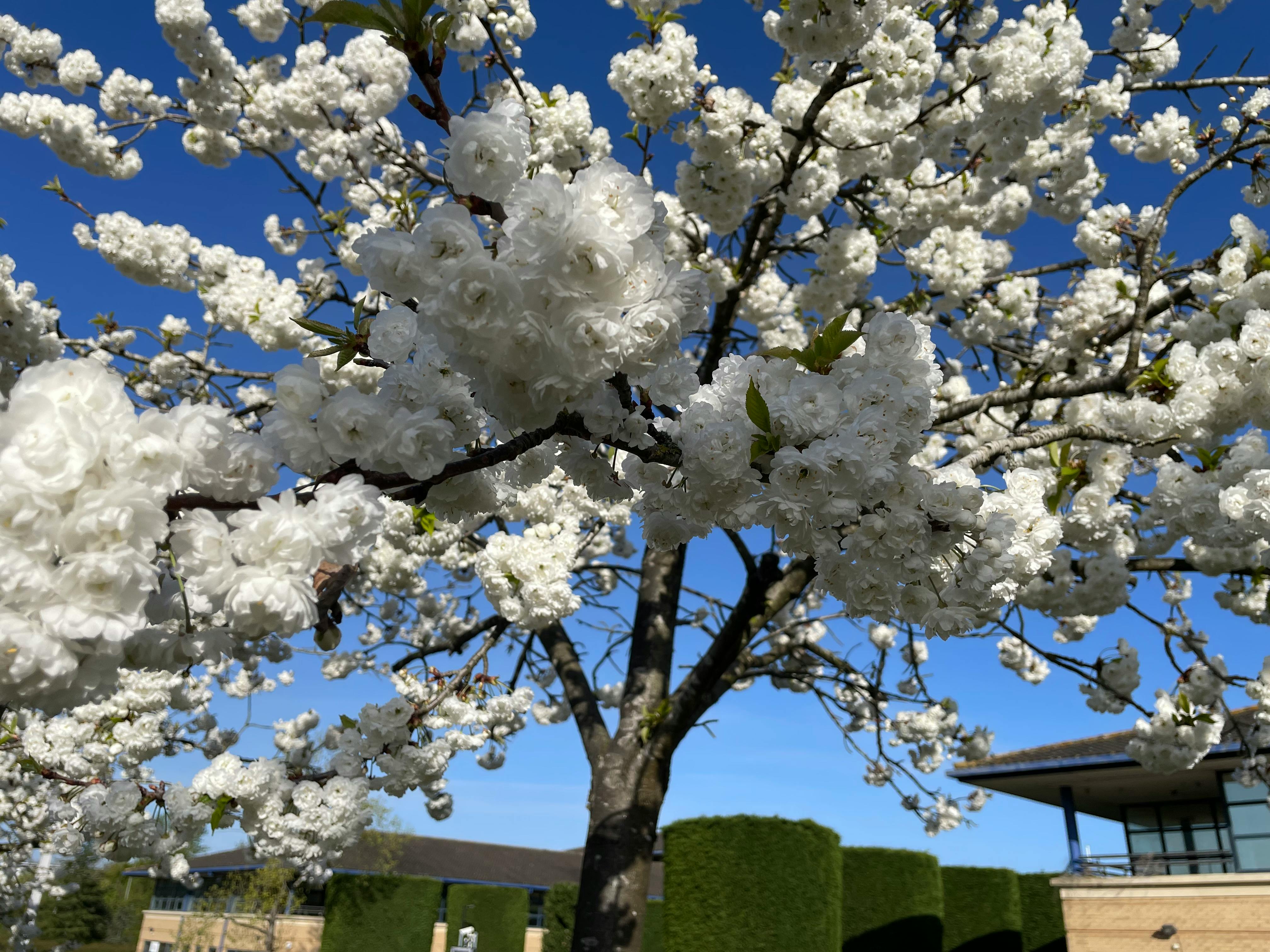 Spring into self-care: Local specialists encourage mothers to prioritize wellness during Mental Health Awareness Month — Phot