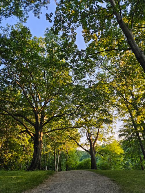 Free Peaceful gravel path surrounded by lush trees during sunset in Boston. Stock Photo