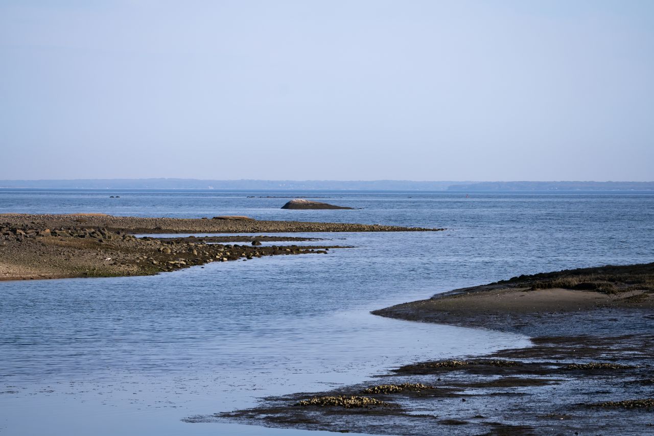 tranquil coastal shoreline at low tide with calm blue ocean and distan
