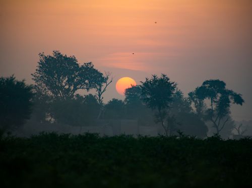 Free Peaceful sunrise with vibrant colors over trees in Kandiāro, Sindh, Pakistan, creating a serene landscape. Stock Photo