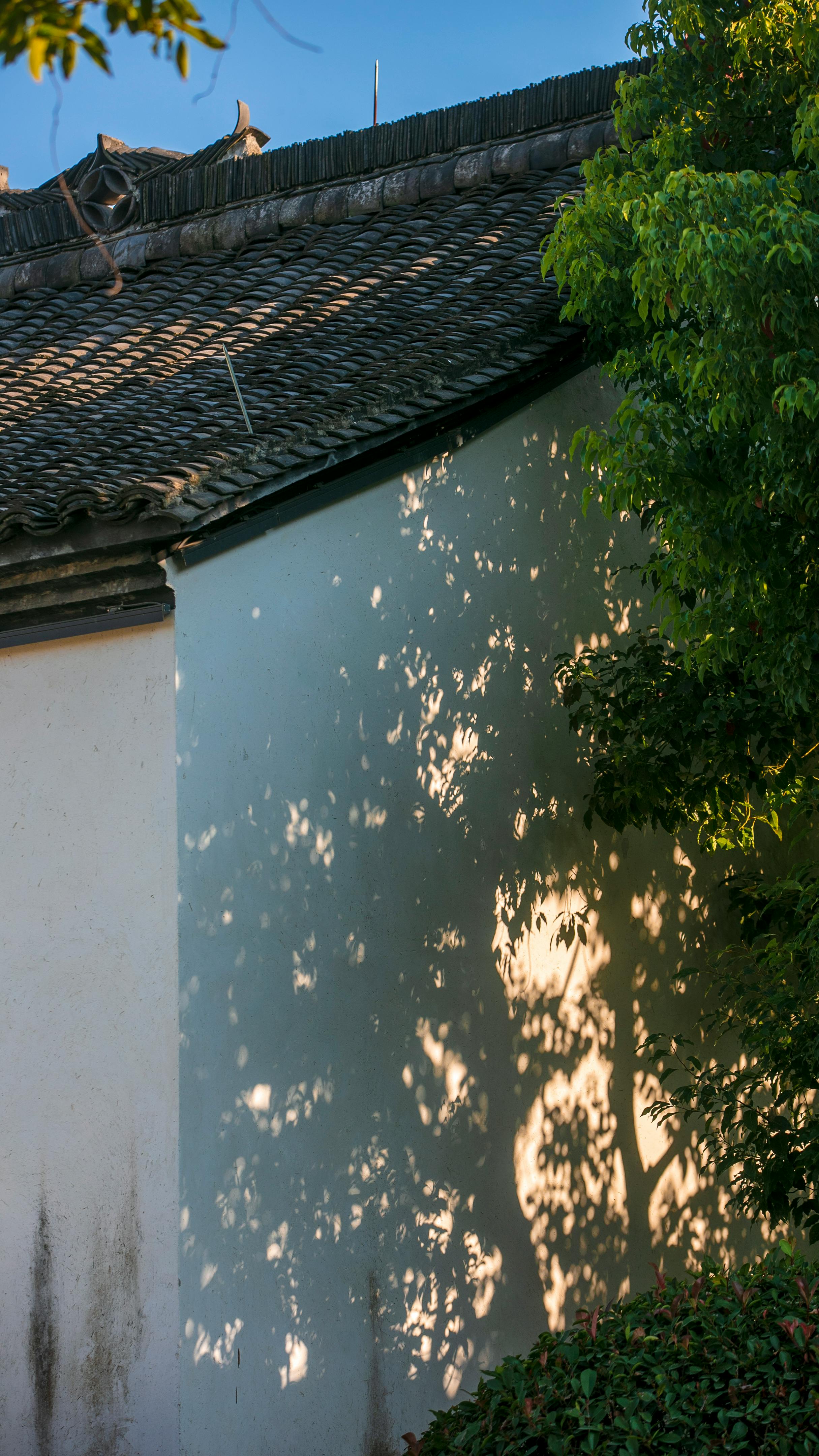 Sunlit shadows on a traditional Chinese building facade with lush greenery.