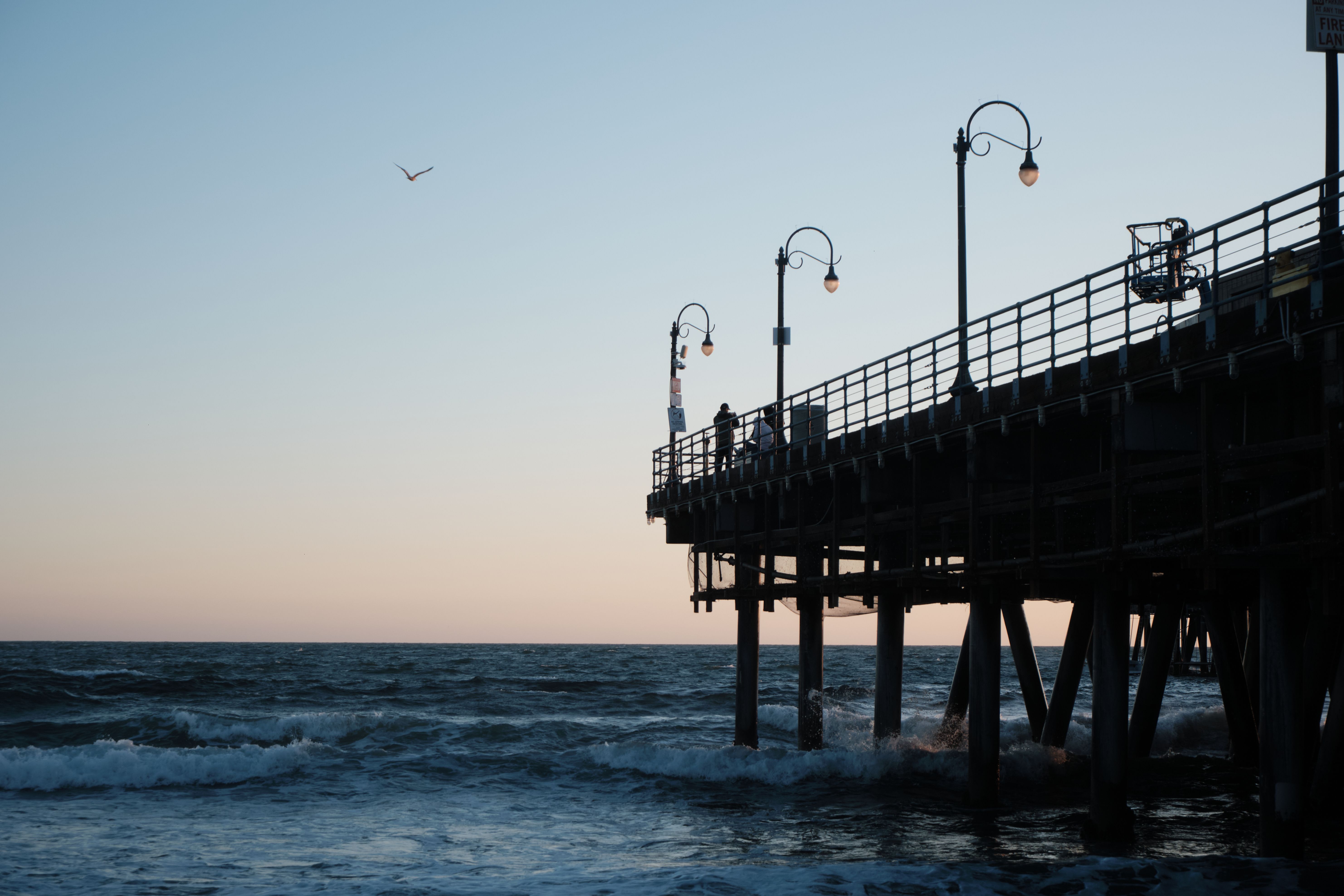Silhouette of a pier at sunset with a tranquil ocean view and a bird in flight.