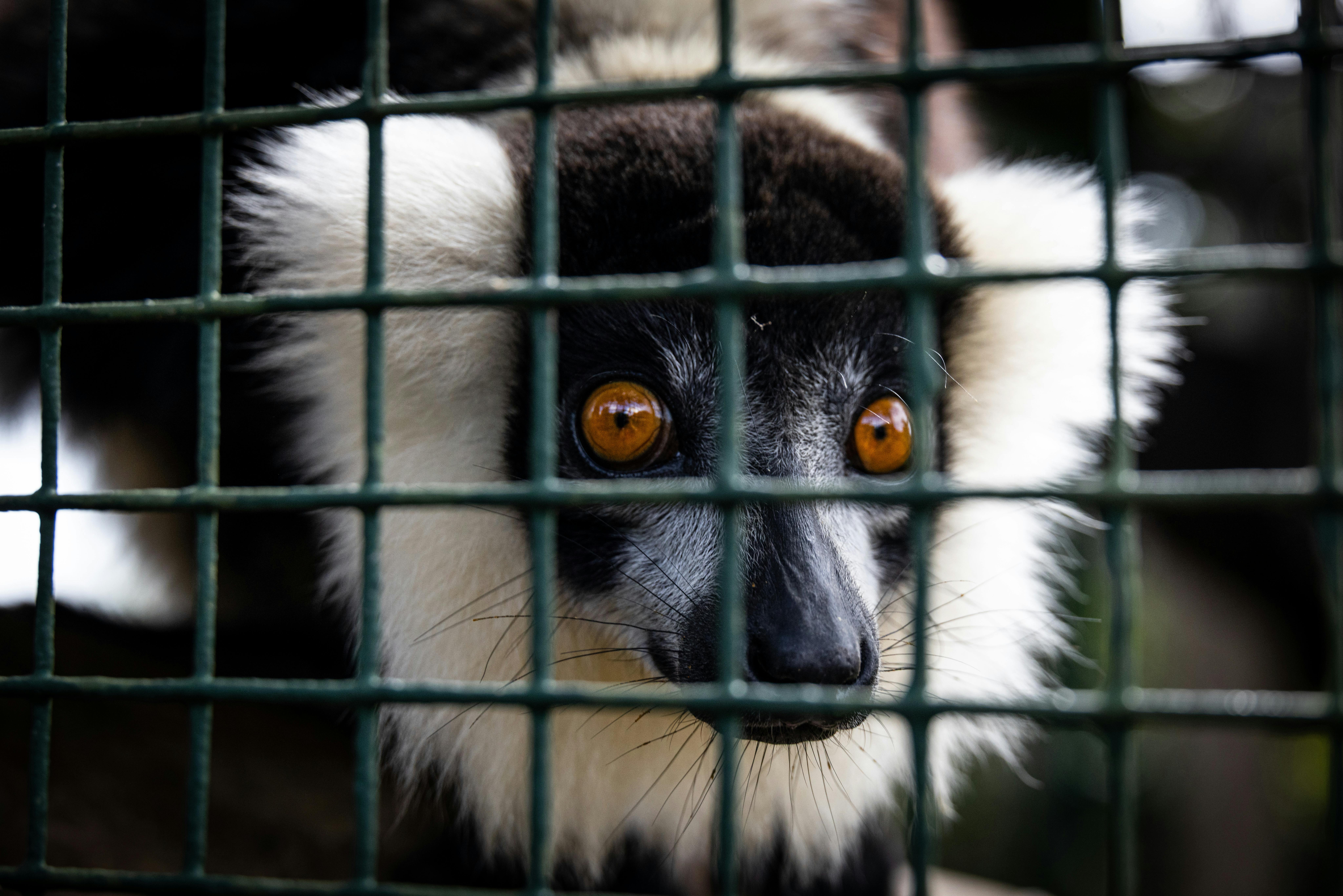 Madagascar–United States Trade and Investment Symposium