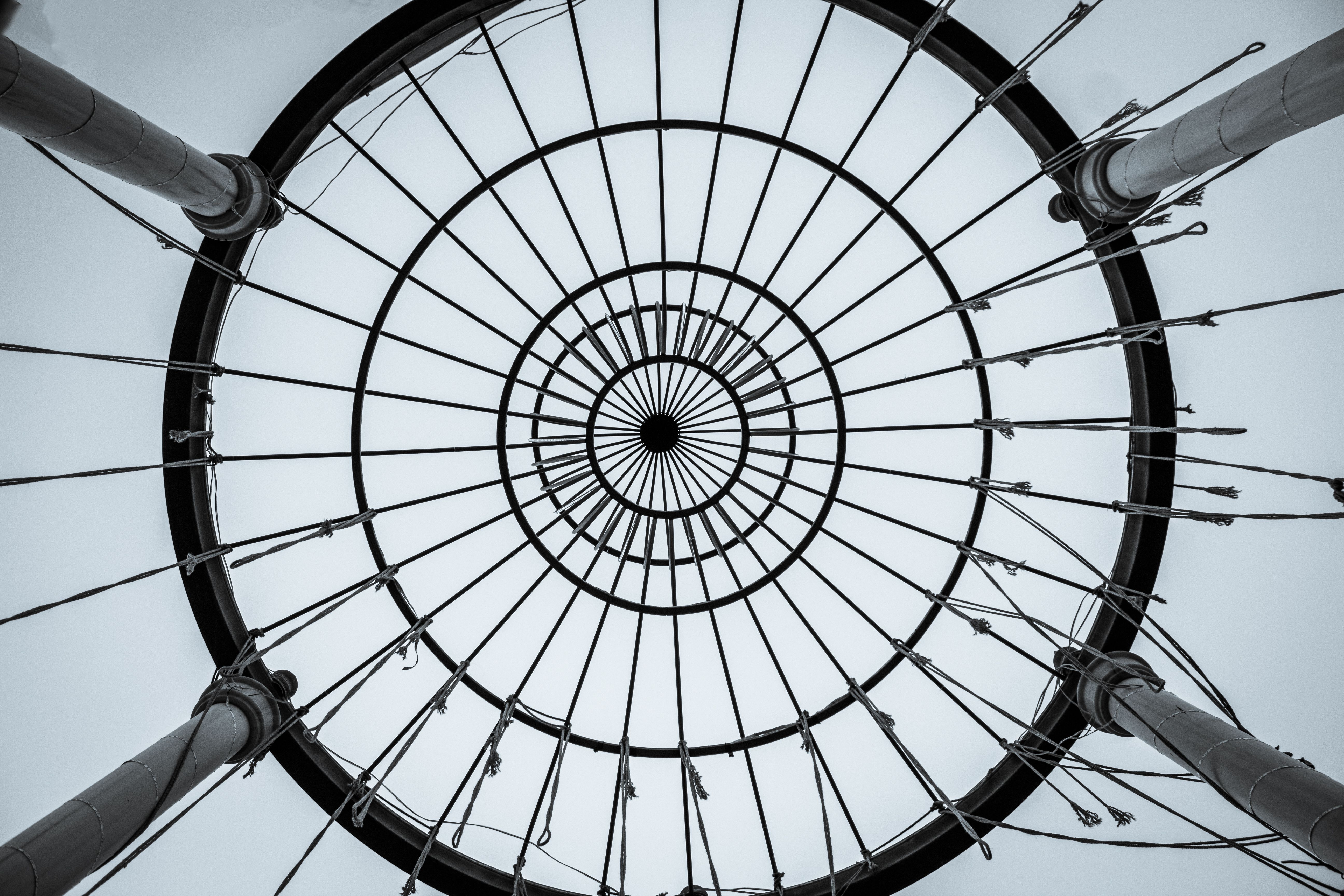 Center for Creative Photography (CCP) Announces Acquisition of Nine Photography Archives — Photo by Talha Kuğu on Pexels