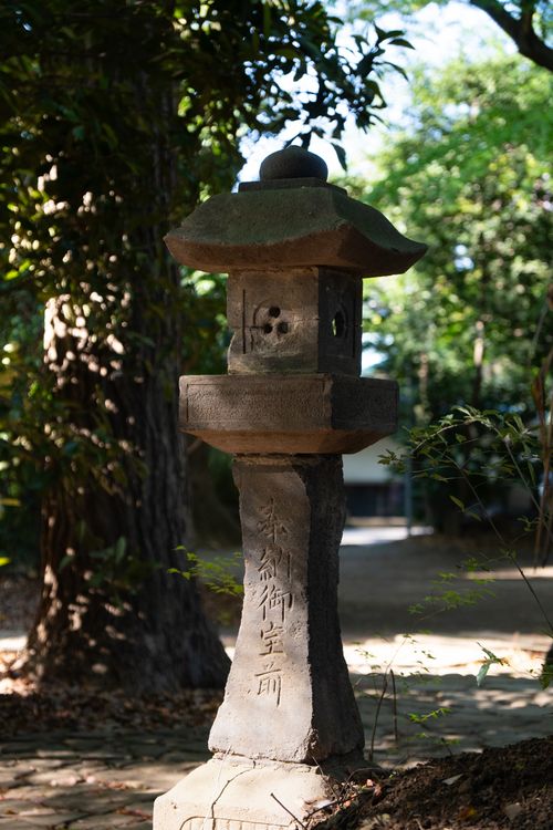 Free Traditional Japanese stone lantern amid lush greenery in a tranquil garden setting. Stock Photo