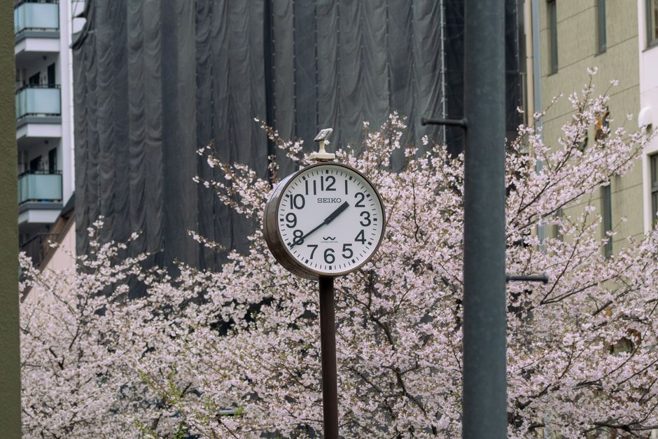 First Time in Japan: Complete Trip Planning Guide (2026)