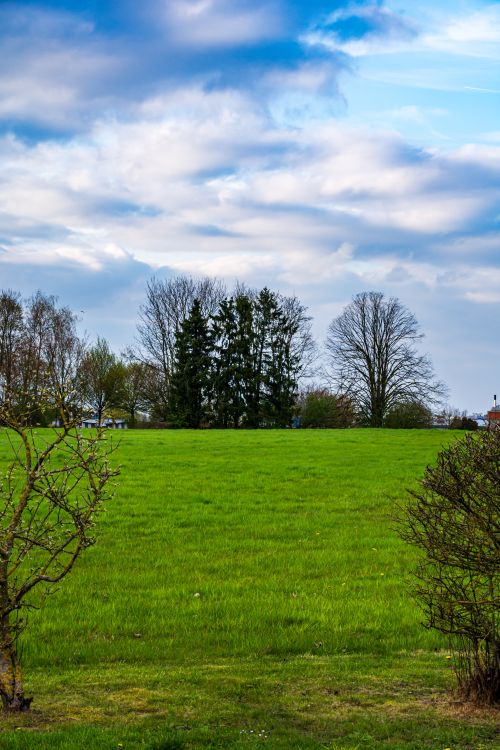 Free Scenic view of a vibrant green field and trees under a dramatic blue sky in Coesfeld, Germany. Stock Photo