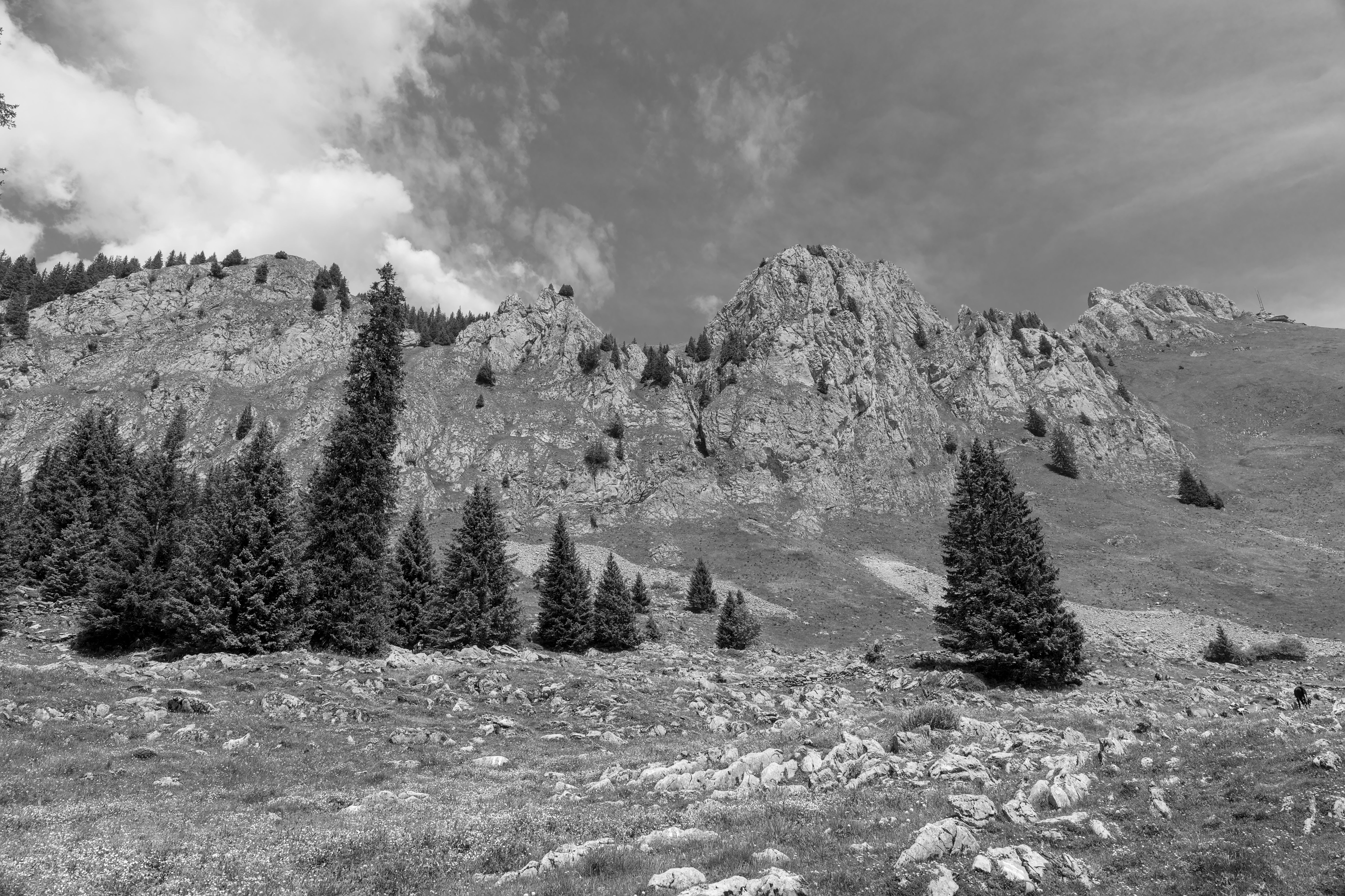 Berglandschaft als Arbeitsumgebung