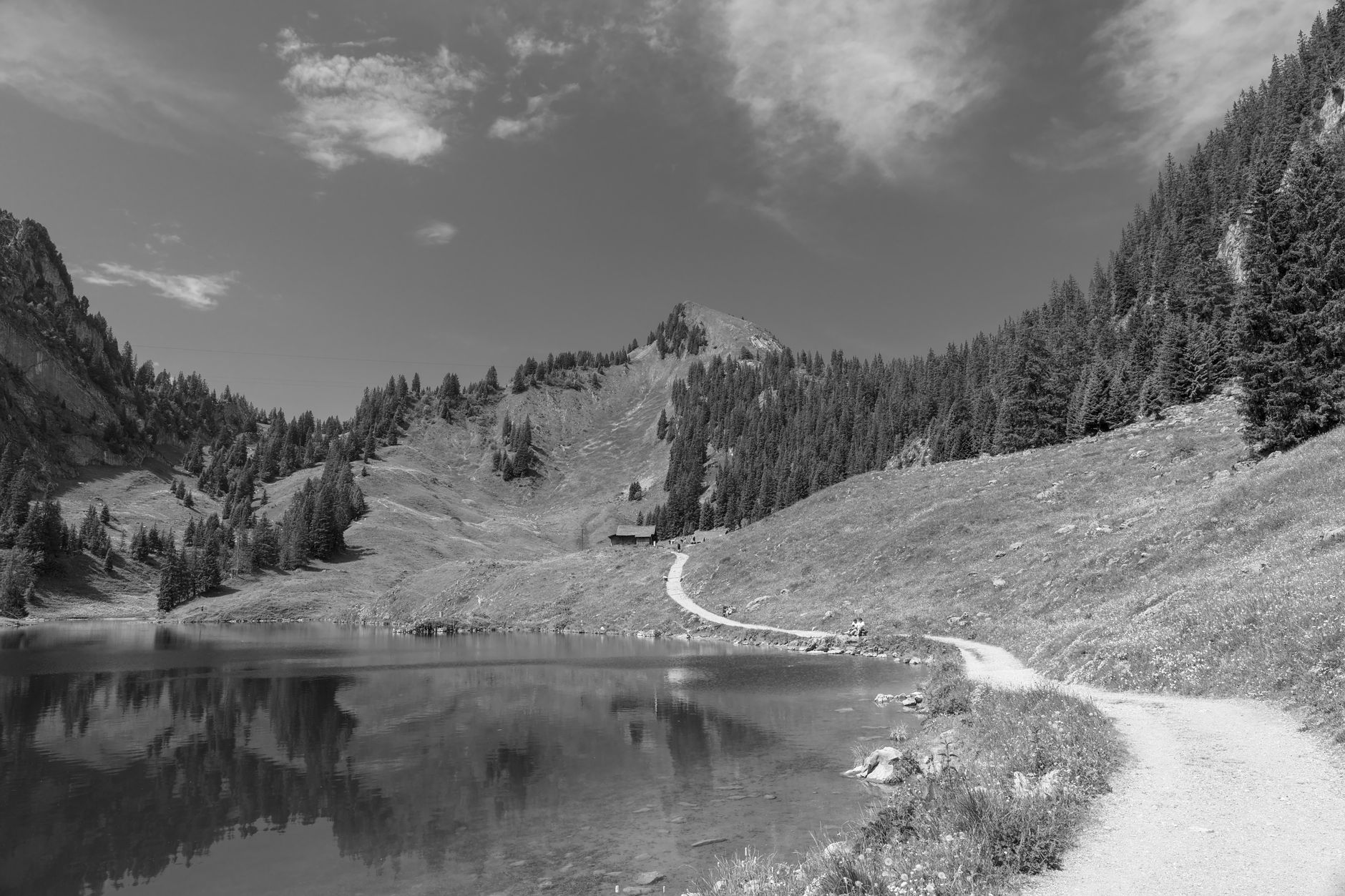 Vide galetas