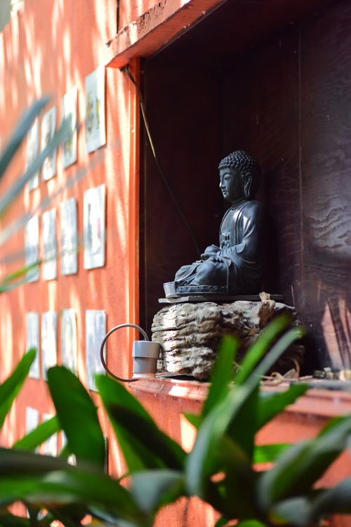Free Tranquil Buddha statue nestled in an outdoor alcove with lush greenery. Stock Photo