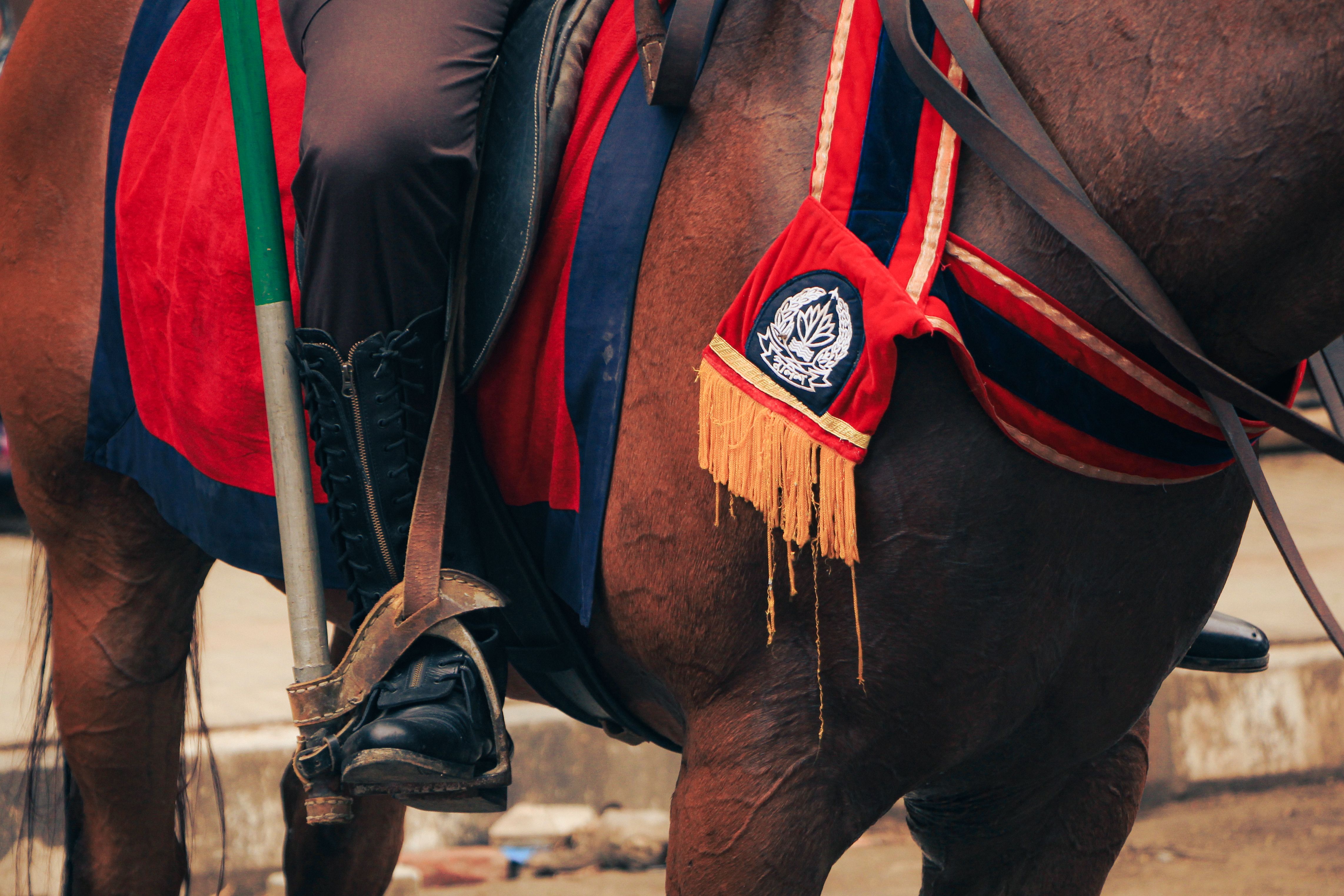Traditional Horse Riding Attire in Dhaka Festival · Free Stock Photo