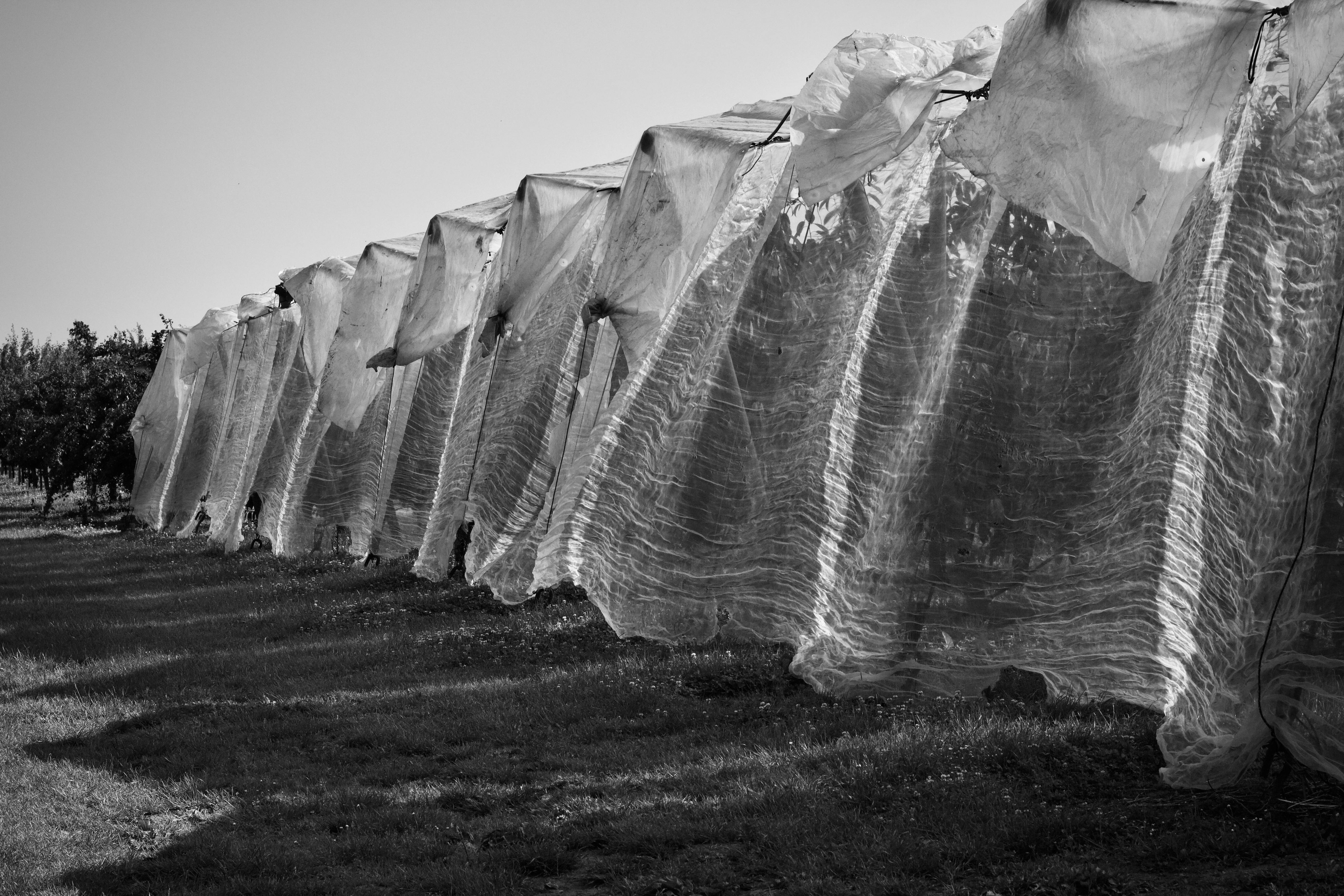 garden wind protection UK