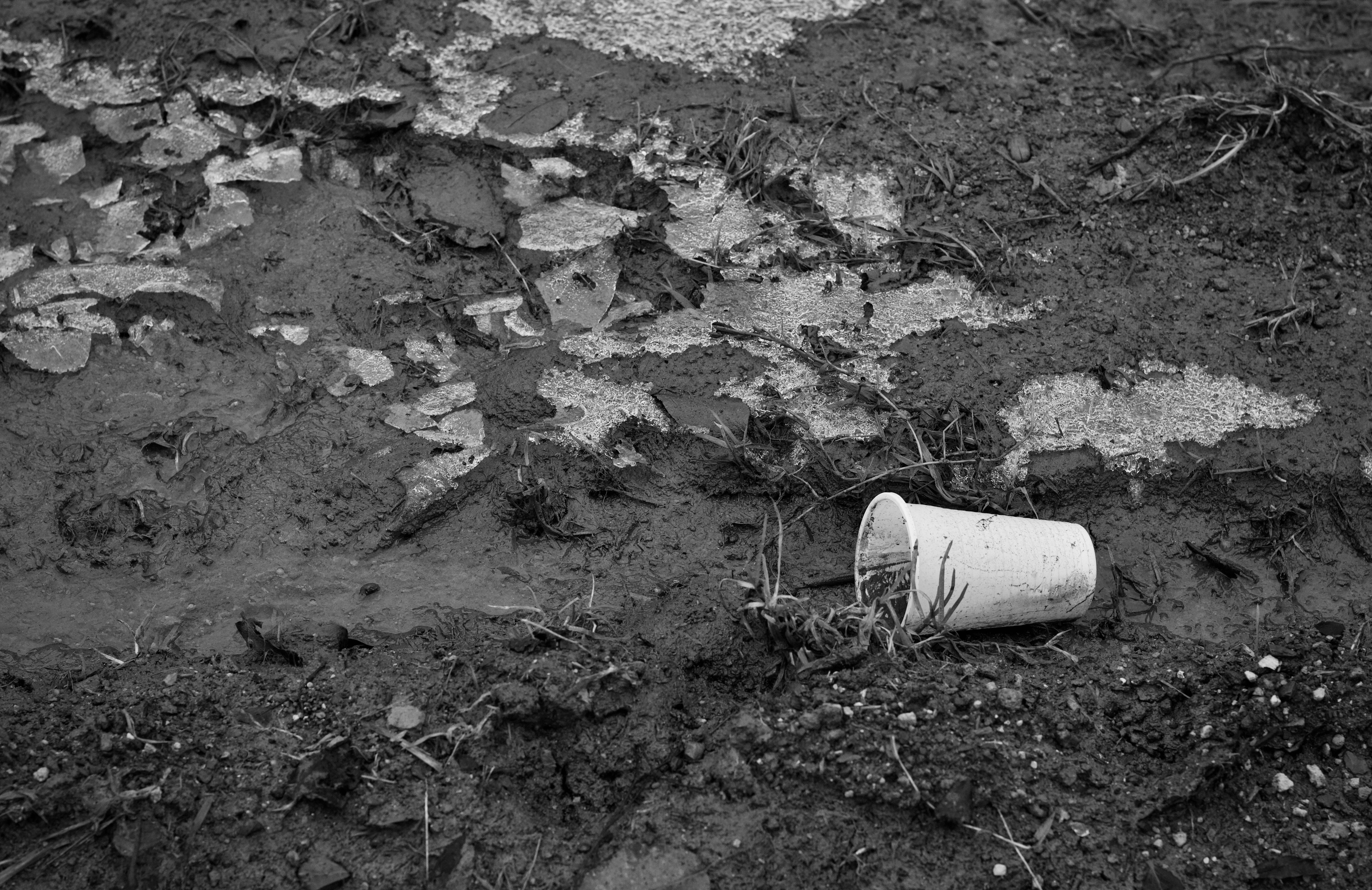 plastic cups trash pavement