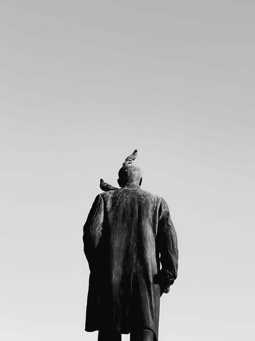 Free Statue with birds perched in a minimalist black and white composition. Stock Photo