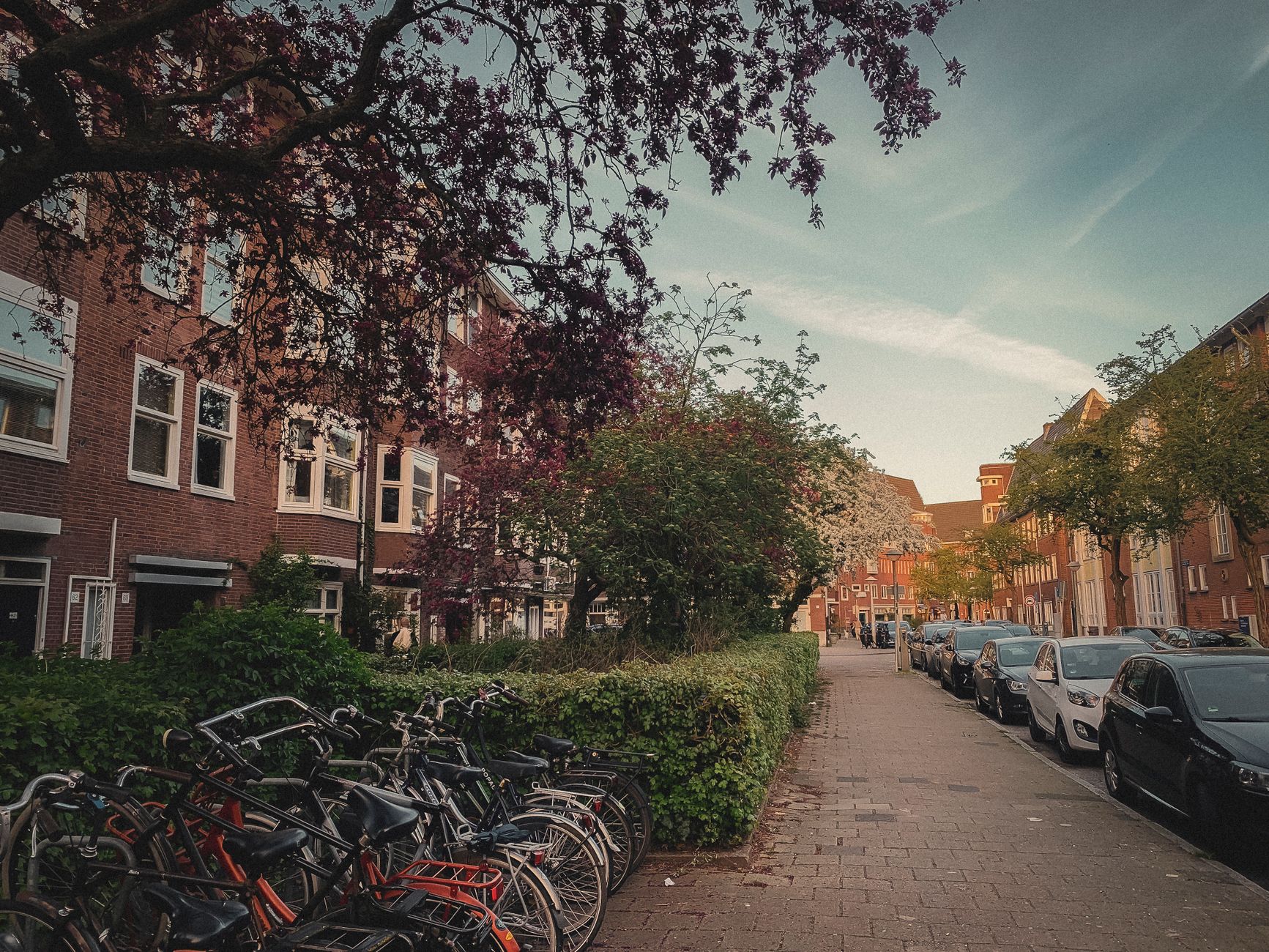Vaker problemen bij baby's in Leeuwarden-Oost