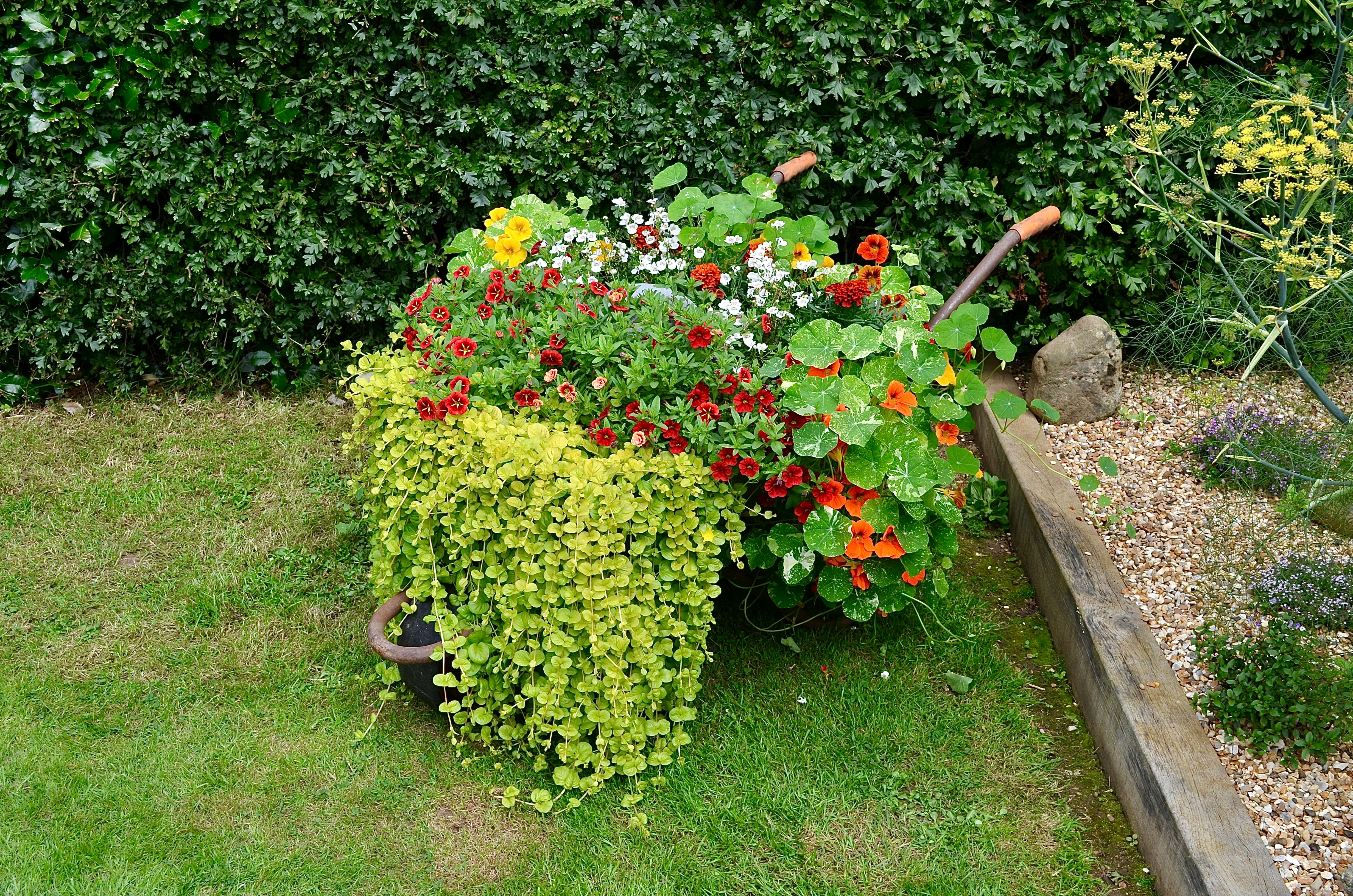 A Landscape Designer’s Favorite Gardening Tools — Photo by Neville Hawkins on Pexels