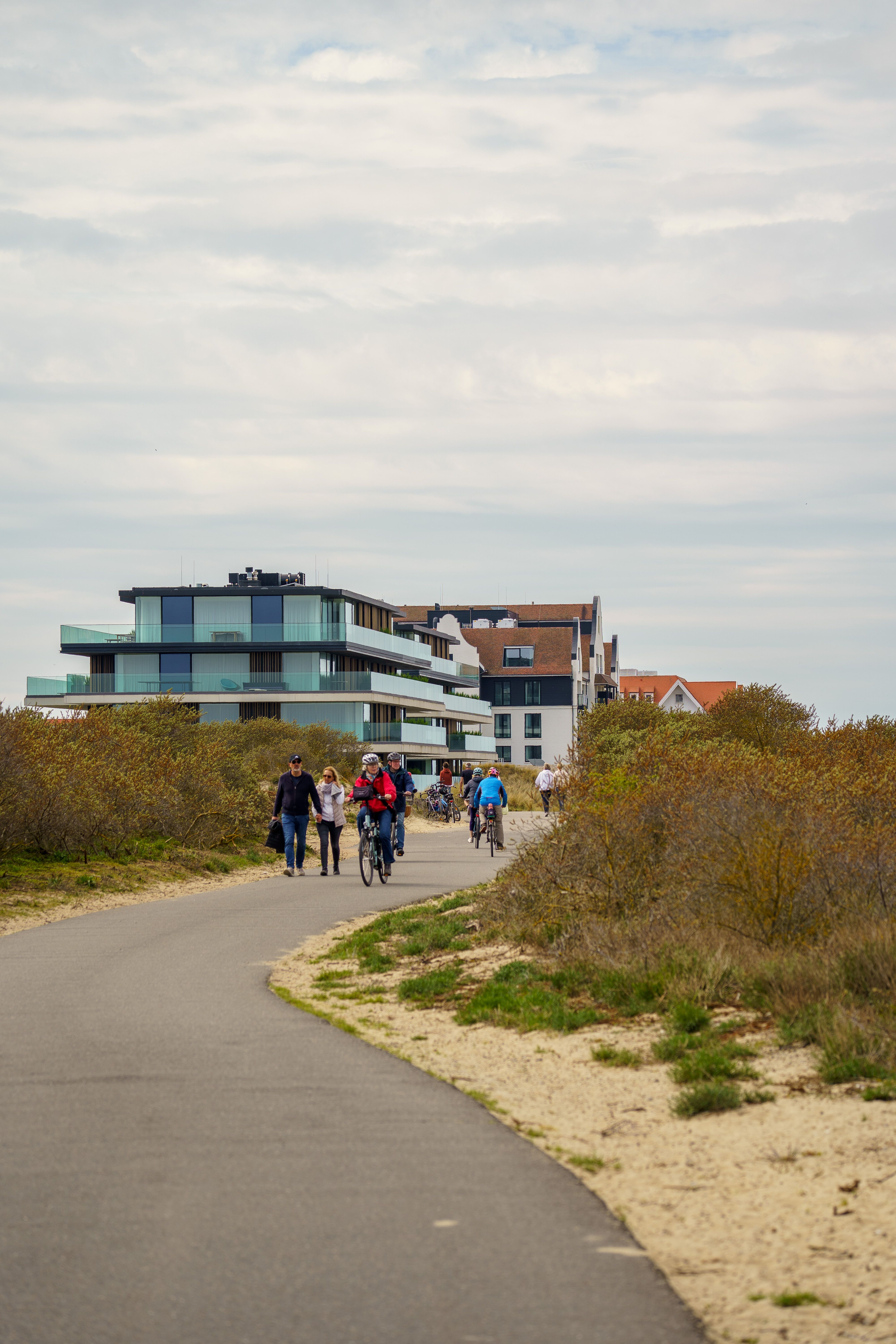Cycling path through the coastal dunes