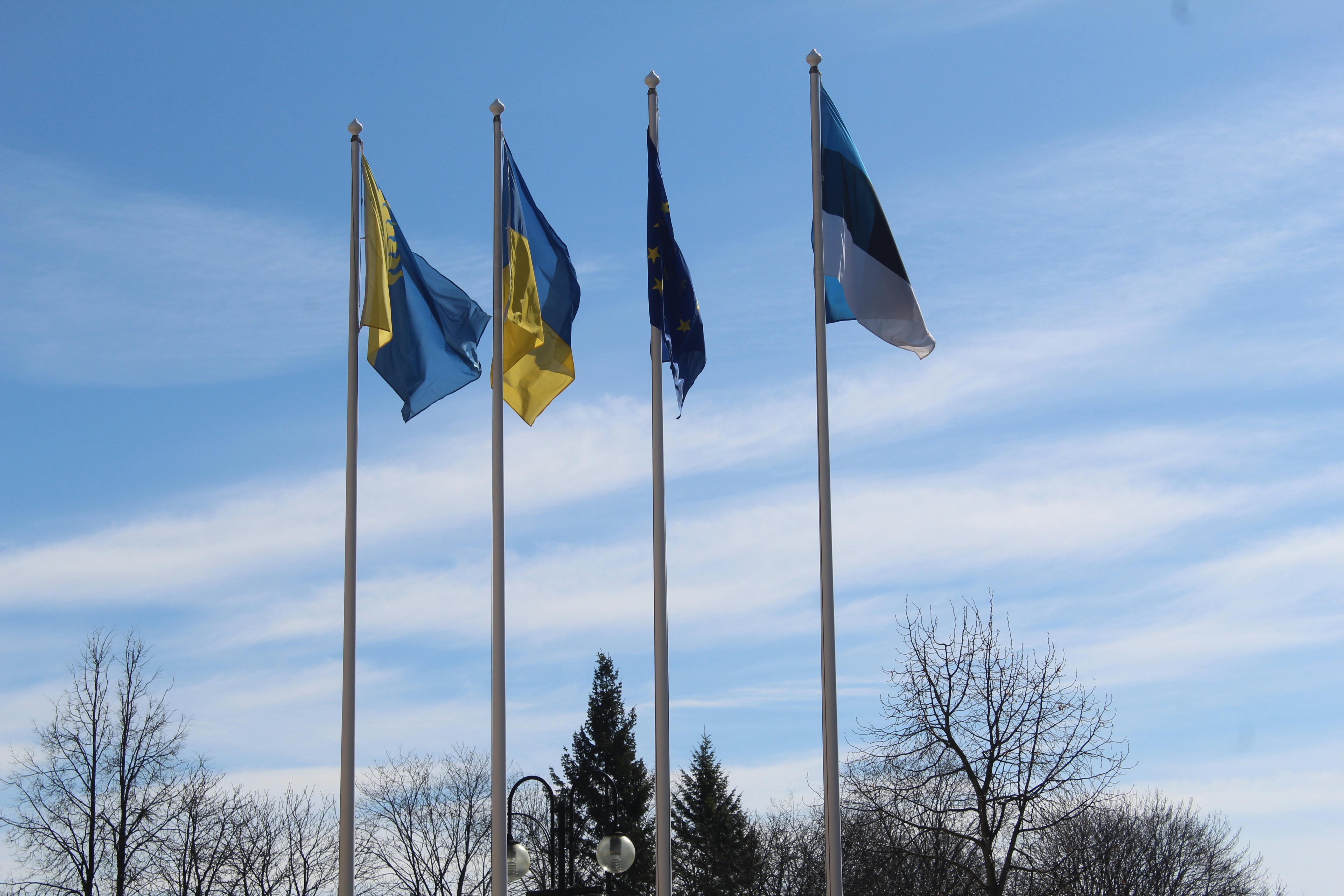 general mills government relations — Photo by Paolo Rossa on Pexels