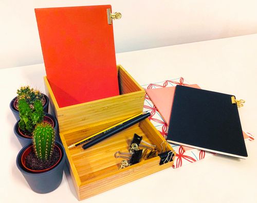 Free stock photo of cactus, cactus plant, cactus plants Stock Photo