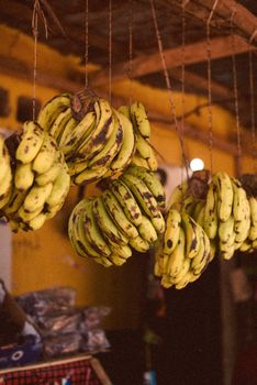 Simply Bananas
