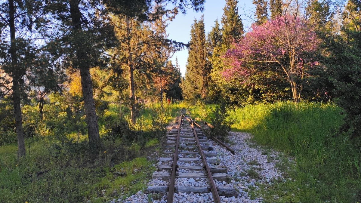 木々に囲まれた線路のイメージ写真