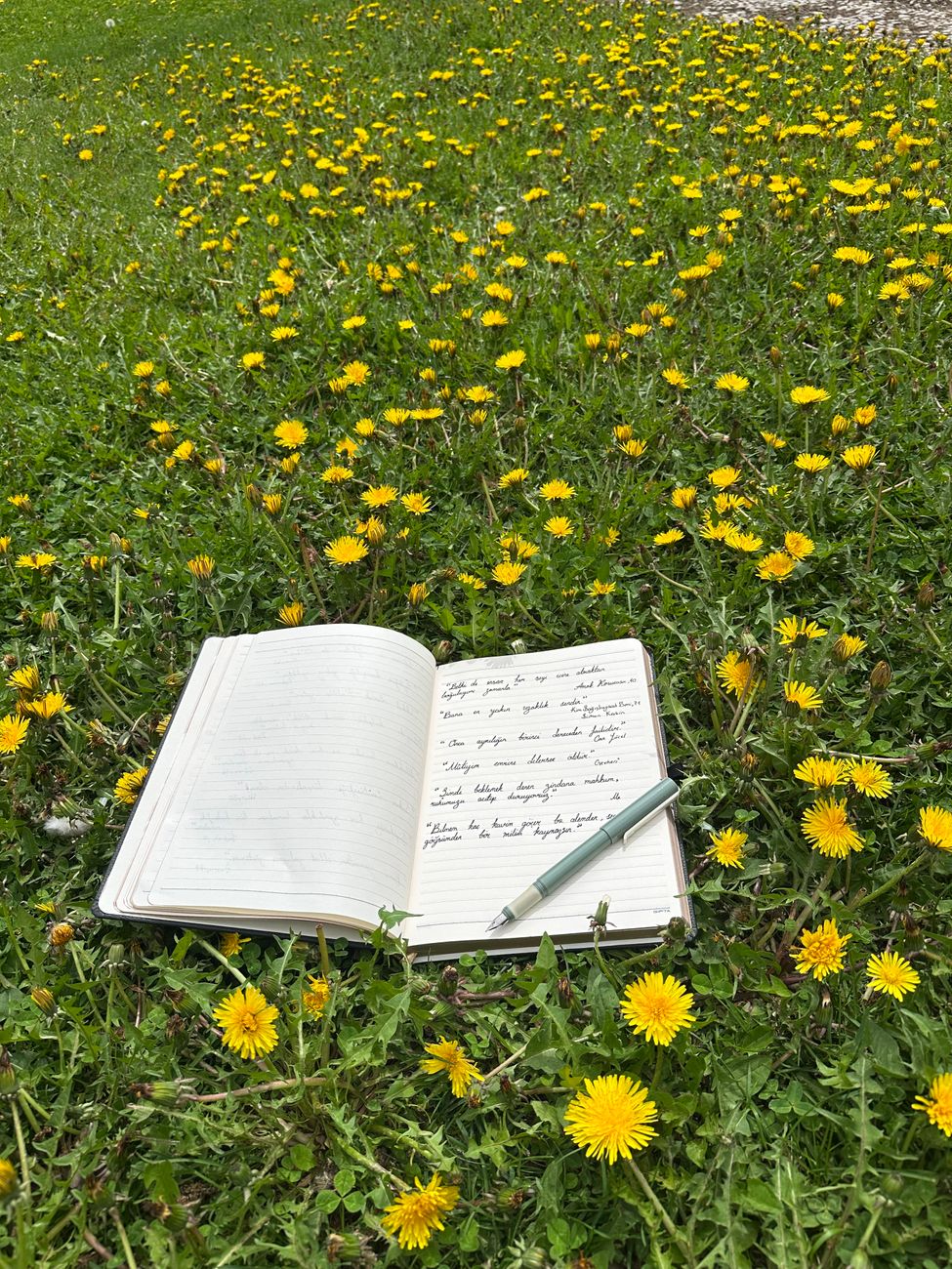 open field journal beside wildflowers and a brass compass on textured paper