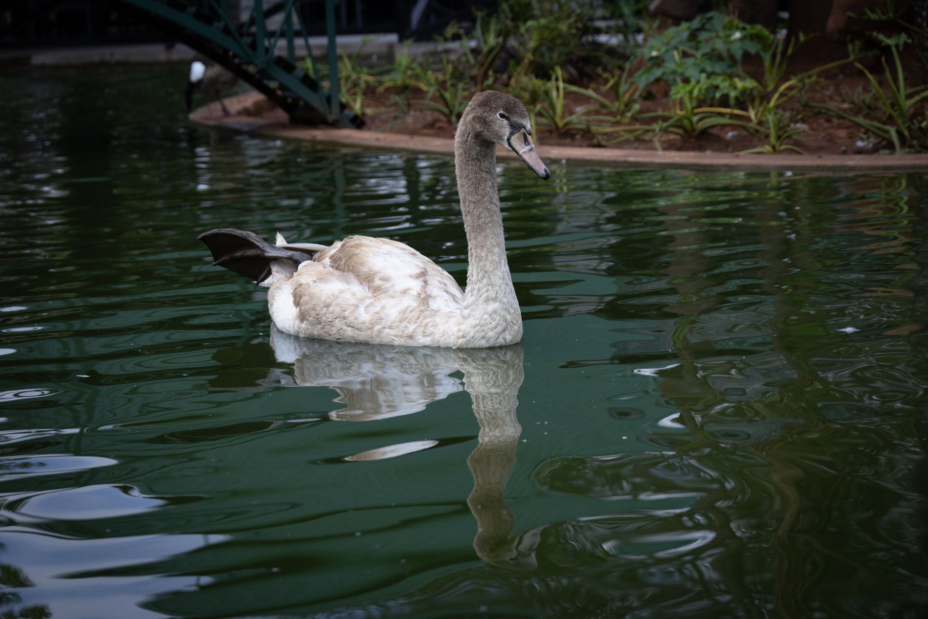 Cost of Living in Echo Park, California — A Real Breakdown Cost of Living in Echo Park, California — A Real Breakdown