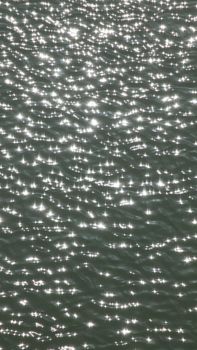 Glittering sunlight reflections on a water surface creating a sparkling effect.