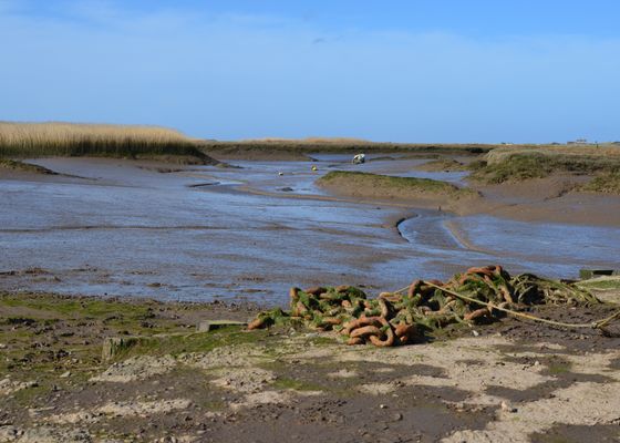 Tidal mud flats and marsh grasses at low water — photo by Neville Hawkins on Pexels