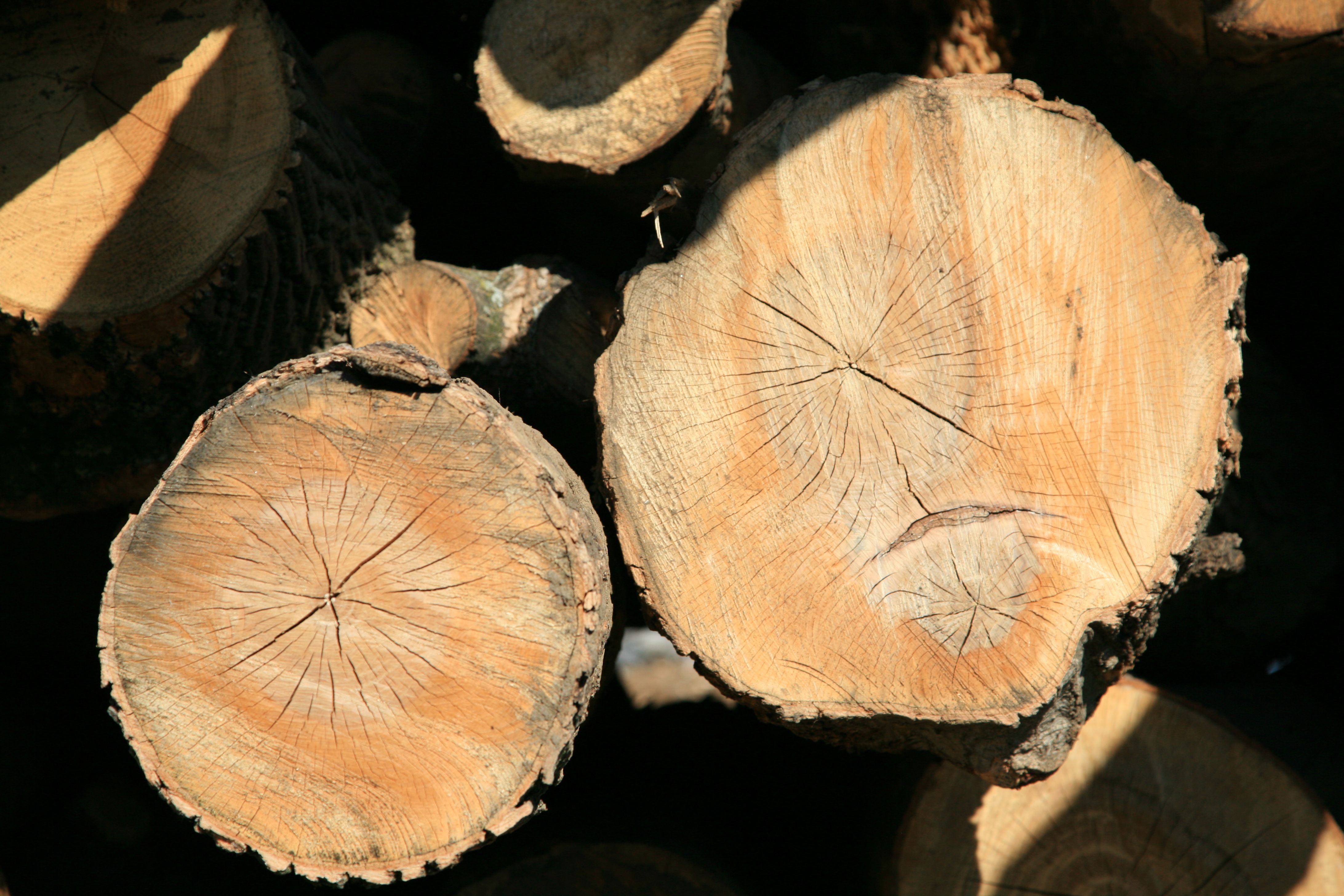 Wood, tropical; dark red meranti, light red meranti and meranti bakau, sawn or chipped lengthwise, sliced or peeled, whether or not planed, sanded or finger-jointed, thicker than 6mm