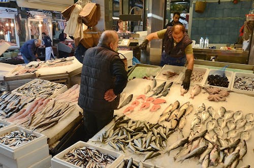 Бесплатное стоковое фото с люди, продажа, рыба