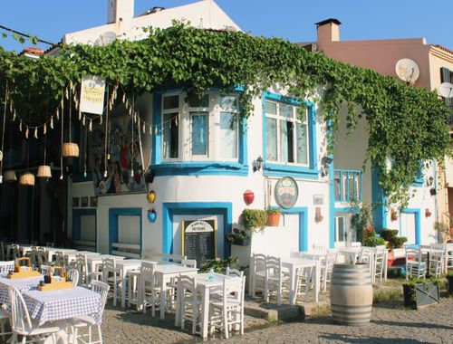 Free Quaint outdoor cafe with vine-covered decor and blue accents under a clear day sky. Stock Photo