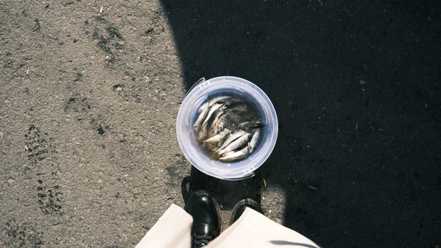 An outdoor scene showing a bucket filled with freshly caught fish on the pavement.