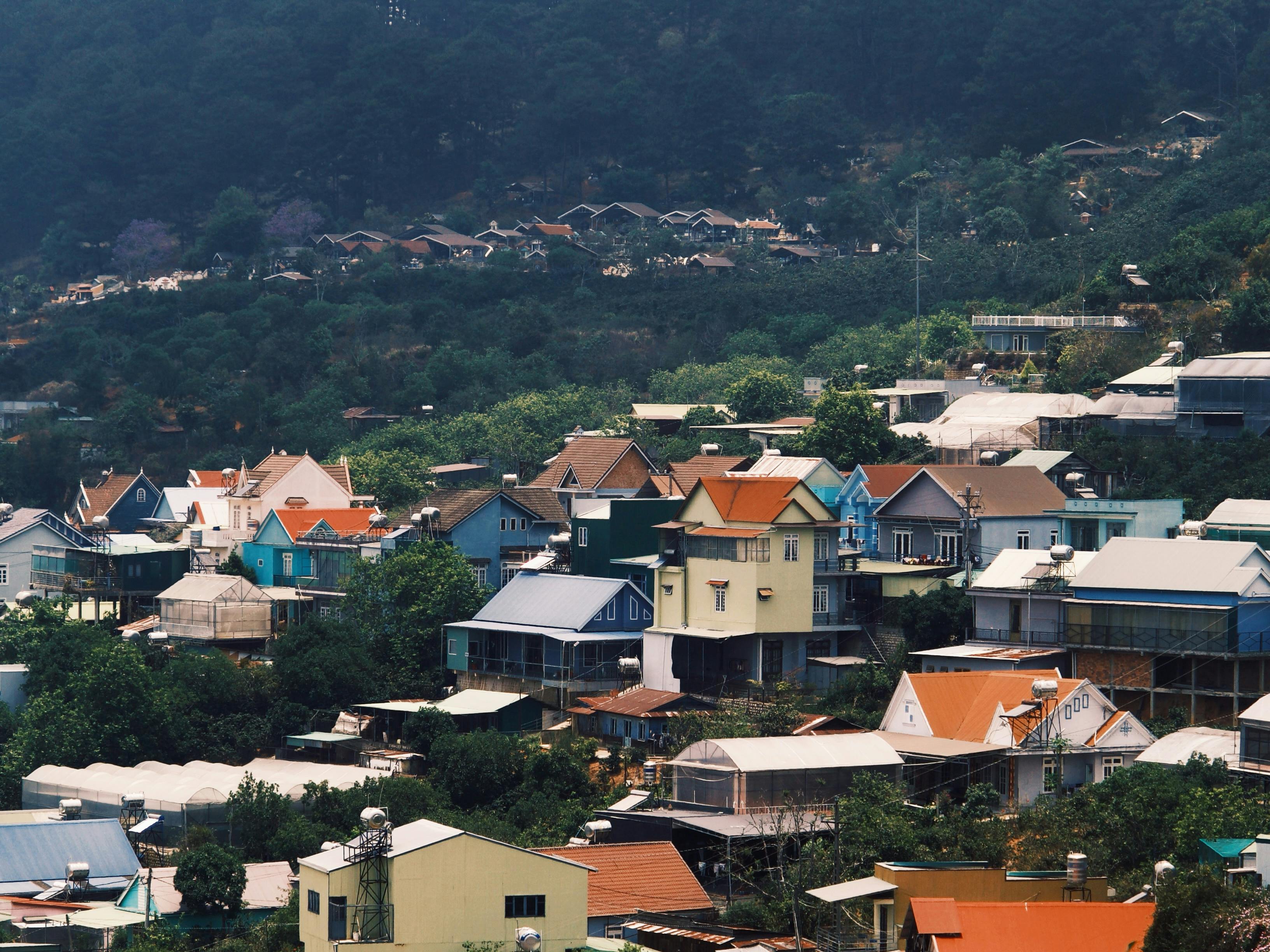 How I built a fully offline smart home, and why you should too — Photo by hngtrieuvi on Pexels
