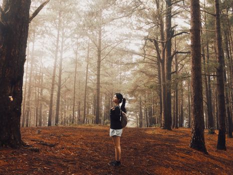 A young woman hiking in a misty pine forest in Dalat, Vietnam during daytime.