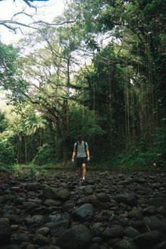 Photo by Caleb Lamb A person hiking through a lush forest trail in Hawaii, surrounded by dense greenery and rocky terrain.