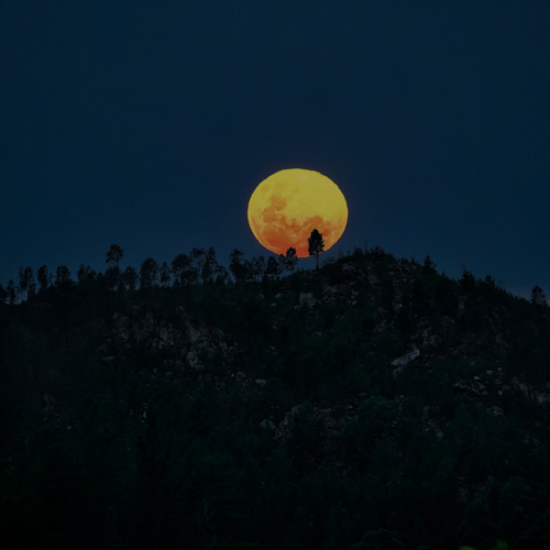Free Captivating full moon rising over tree-lined hill in Uniondale, South Africa, creating a moody night scene. Stock Photo