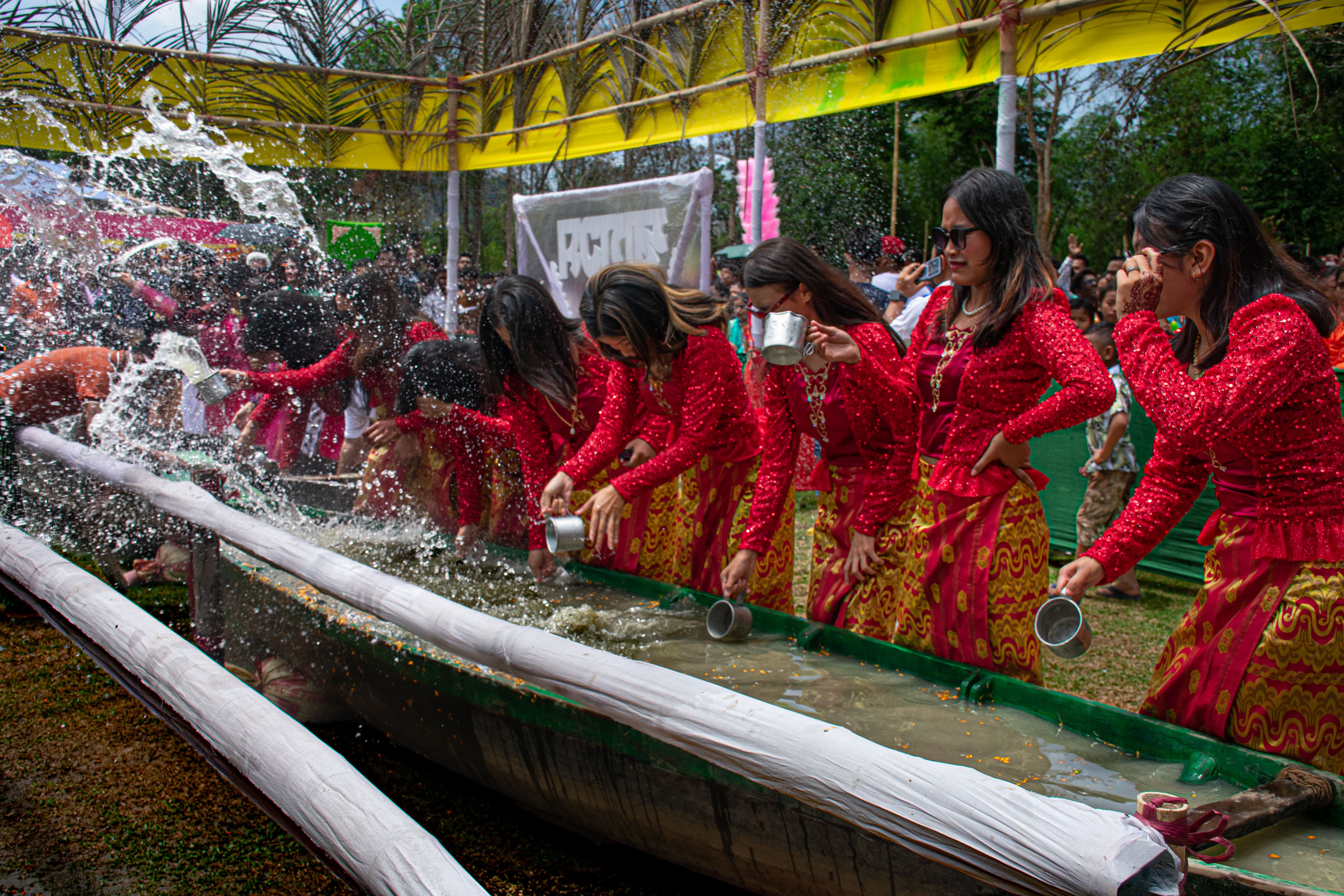NC Azalea Festival begins search for new executive director — Photo by MD Monsurul  Azam on Pexels