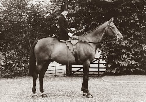 Grayscale Photo of Woman Riding on Horse