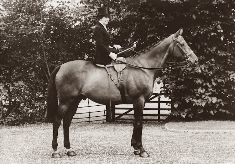 Grayscale Photo Of Woman Riding On Horse