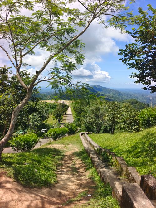 Free Idyllic scene of a trail with lush trees and distant mountains under a blue sky. Stock Photo