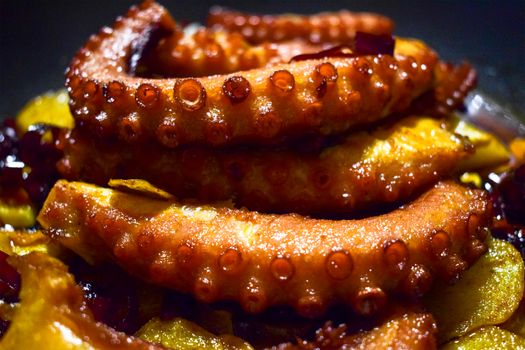 Close-up of cooked octopus tentacles, rich texture and vibrant colors.