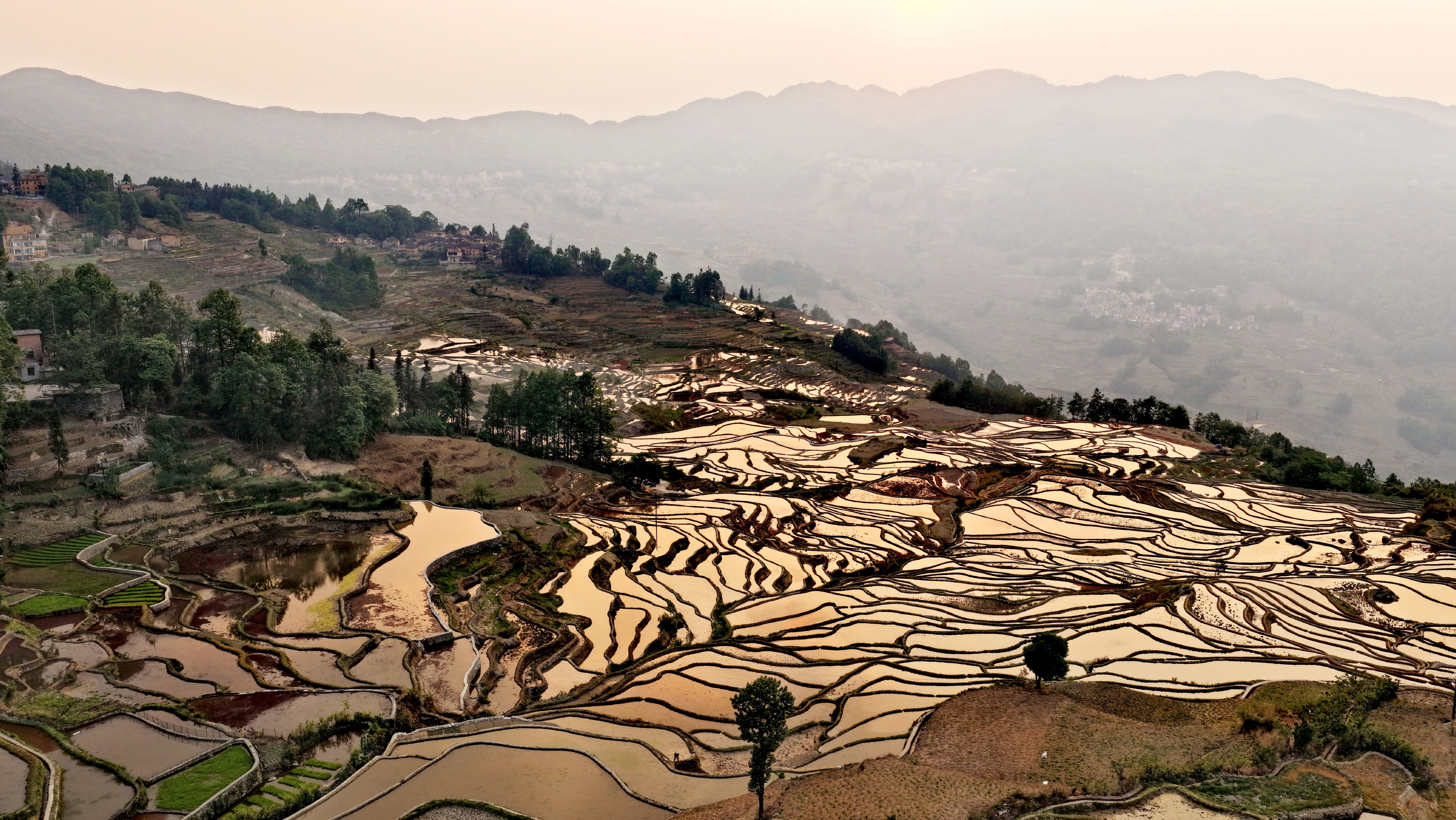 Yuanyang Rice Terraces: Complete Photography & Travel Guide