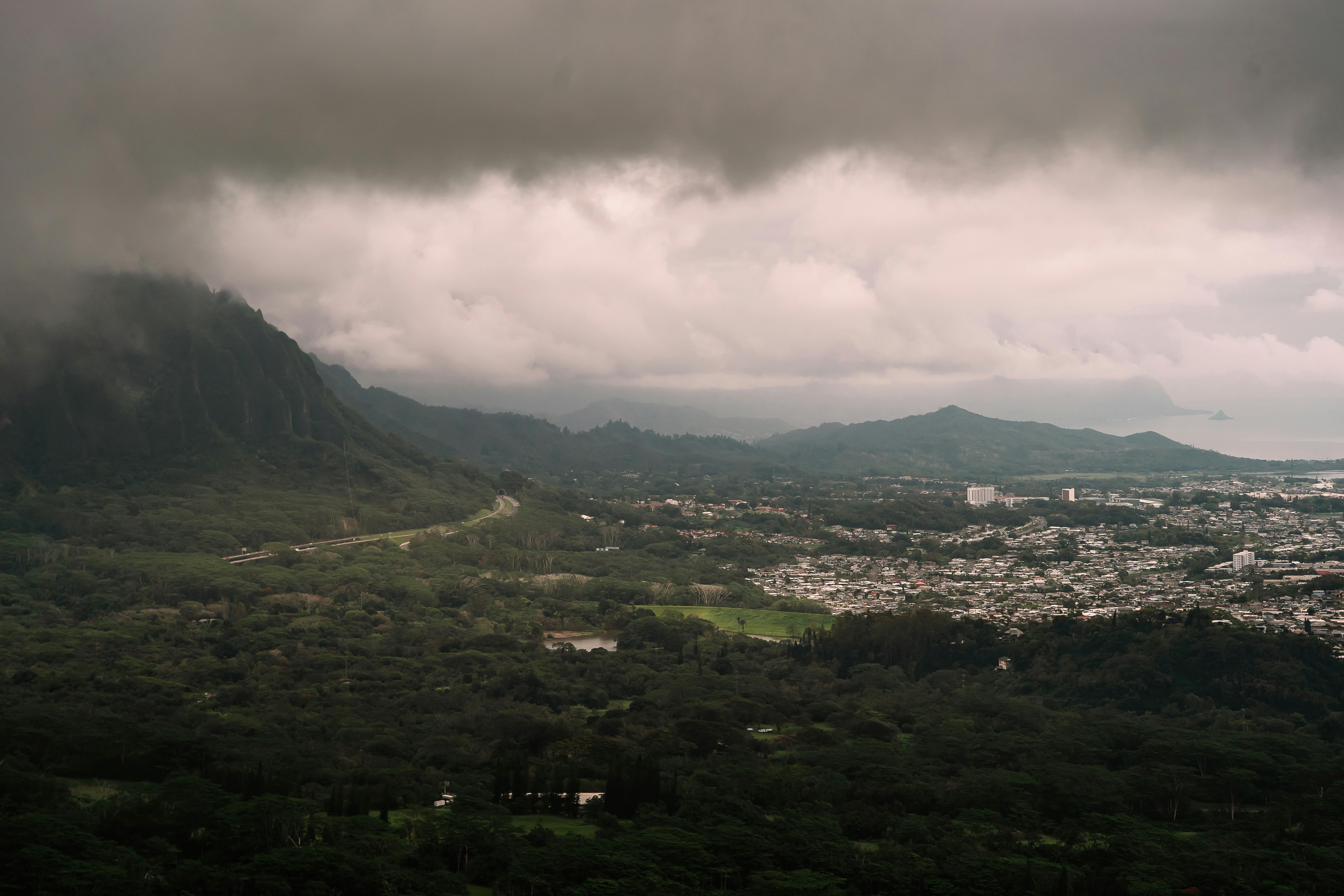 Hawaii Island Seed Bank helps build climate resilience - Hawaii Tribune — Photo by Roy Serafin on Pexels