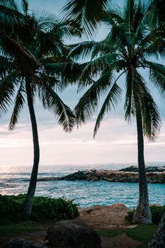 Photo by Roy Serafin Picturesque view of Ko Olina Beach in Hawaii, framed by palm trees and a tranquil ocean scene.