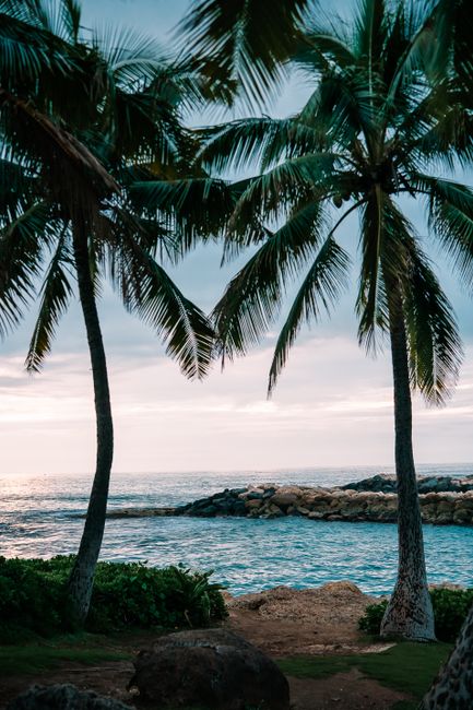 Photo by Roy Serafin Picturesque view of Ko Olina Beach in Hawaii, framed by palm trees and a tranquil ocean scene.